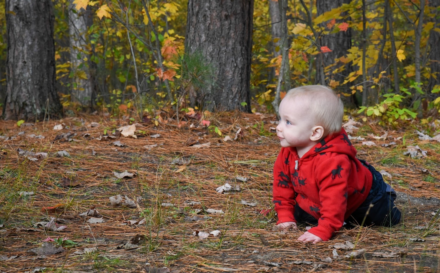 Why Nature Play Is Essential For Development