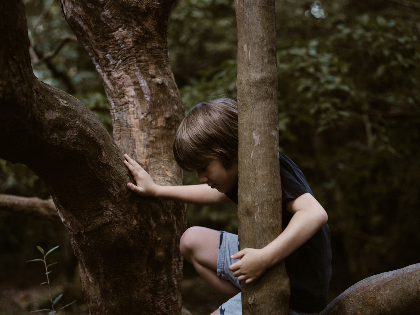 Five Primitive Skills Every Beginner Should Learn