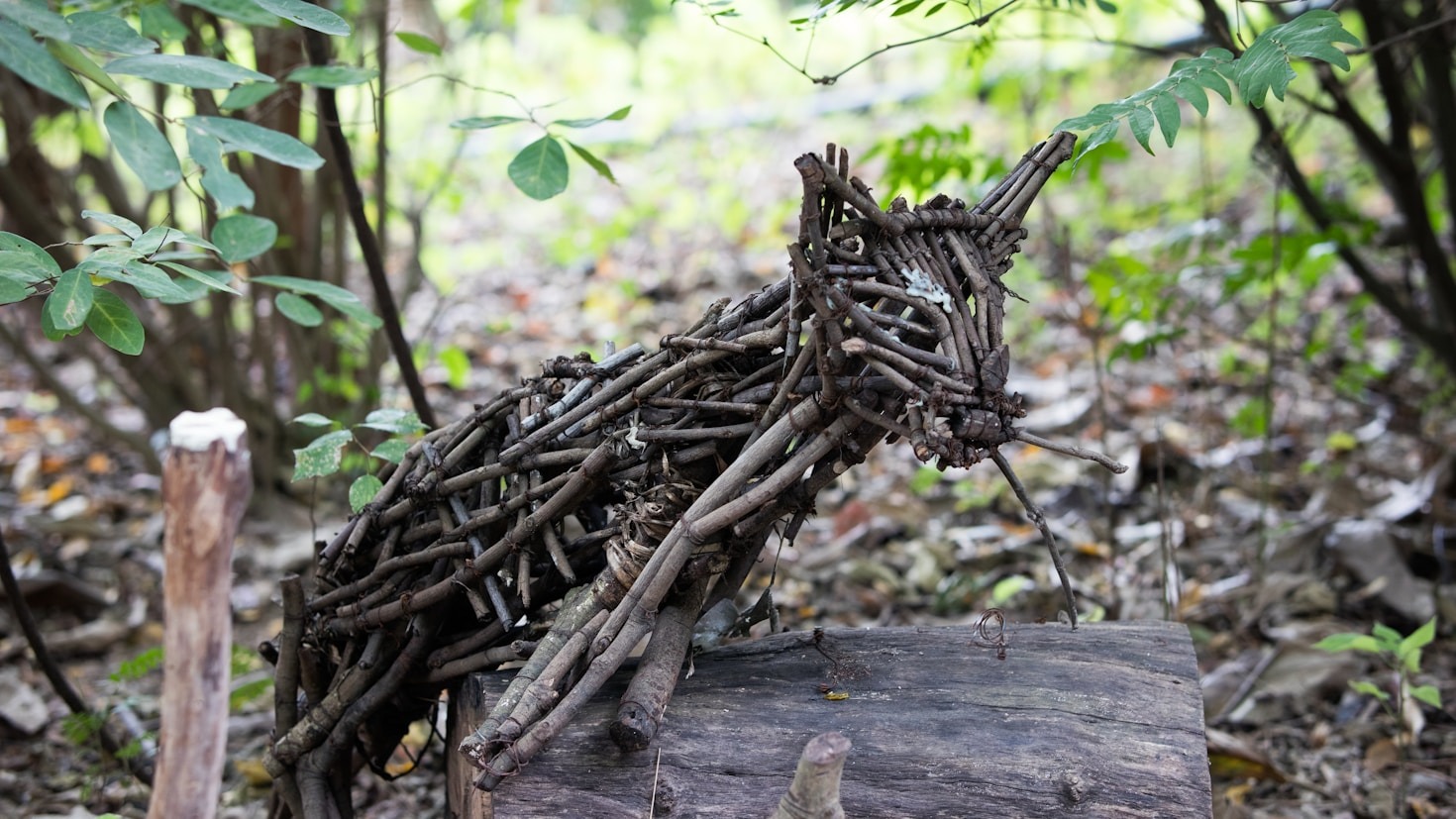 Creating Community Through Shared Woodland Crafts
